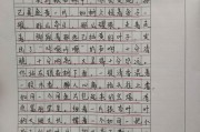 手写作文(手写作文图片字丑一点800字)
