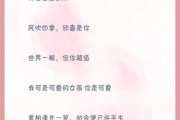 爱情的文案(爱情的文案图片)
