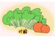 孕妇前三个月食谱大全
:怀孕前两个月吃什么最好？