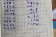 表示写作业认真的成语(表示写作业速度快的成语)