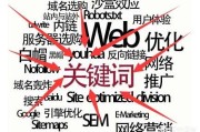 长尾词快速排名
:如何把网站大词和长尾词排名都做好？