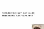 沙雕文案(沙雕文案短句)