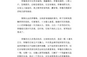 草莓怎么写作文(草莓怎么写作文300字)