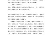 环境描写作文600字(环境描写作文600字五觉法)