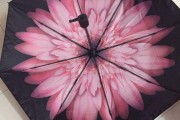 蕉下雨伞(蕉下雨伞是哪里生产的)