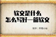 如何写好软文(如何写好软文教材)