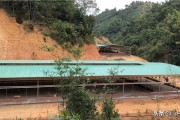 种植养殖项目
:请教大家现在振兴新农村建设，有什么种植，养殖项目，相对较稳定？