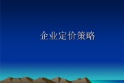 价格策略怎么写(价格策略怎么写酒店餐饮客房)