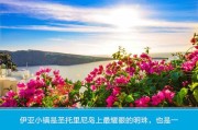作品推广(怎么购买作品推广)