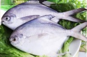 海鱼有哪些
:有哪几种比较好的食用海鱼推荐一下？