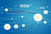 搜索引擎营销方案(美团搜索引擎营销方案)