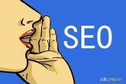 seo优化入门
:作为SEO新手，如何才能学好SEO优化？