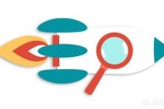 seo基础知识
:什么是SEO？为什么一些人要学SEO？