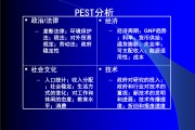 pest分析(pest分析法)