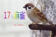 麻雀的叫声怎么写作(麻雀叫声怎么叫)