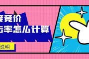 竞价排名点击(竞价排名点击软件)