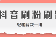 粉丝自助下单平台(淘宝粉丝自助下单平台)