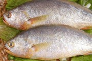 海鱼的种类
:中国有什么好吃的海鱼？
