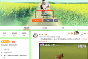 在哪里可以买微博号啊(微博直播买的东西在哪里)
