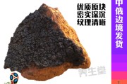 桦树茸的副作用(桦树茸的副作用和禁忌人群)