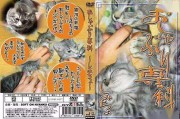 av动漫网站(樱花动漫app下载)