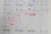 写作业的拼音(写作业的拼音怎么拼写)