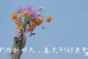 赏花文案
:关于描写春天的唯美文案句子有哪些？