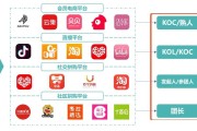 内容电商(内容电商分为哪几类)