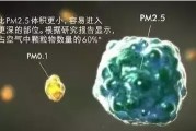 PM表示什么(pm表示什么职位)