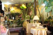 新手怎么开花店(新手开花店要注意什么)