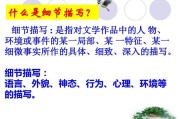 细节描写作文(细节描写作文700字初中作文)
