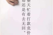 双十一搞笑文案(双十一理性消费文案)
