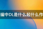 dl是什么(dl是什么游戏)