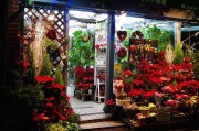 花店文案
:花店最好吸引客户的广告语如何写？