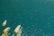 少年包青天主题曲
:哪些电视剧的片头曲最经典？