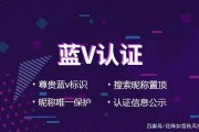 微博上的蓝V是什么意思(微博蓝v联动是什么意思)