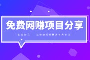 网赚项目下载(赚钱项目网)