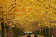 故都的秋写作背景(故都的秋写作背景概括)