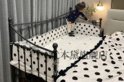 陆艺(陆艺丹)