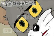 微博买fo网站(微博买fo有什么用)