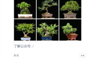 新媒体运营师
:新媒体运营师靠谱吗？