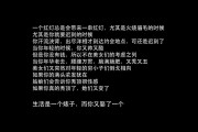 找对象文案(找对象文案)