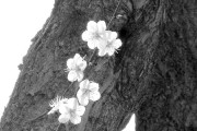 无题的写作背景(无题这首诗的写作背景)