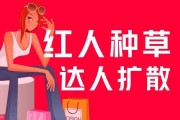 小红书简介(小红书简介怎么折叠)
