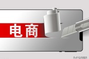 电商平台费用
:如今的电商行业，平台在亏钱，商家在亏钱，那钱到底被谁挣去了？