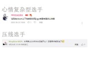 pass的意思(passenger的意思)