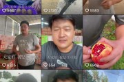 王中源(郑州中源果农王中源)