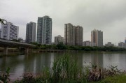清远市属于哪个省(清远市属于哪个省份的)