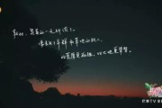 房地产走心文案
:你见过最走心的广告文案是哪一句？
