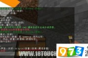 我的世界透视指令(我的世界透视指令117)
